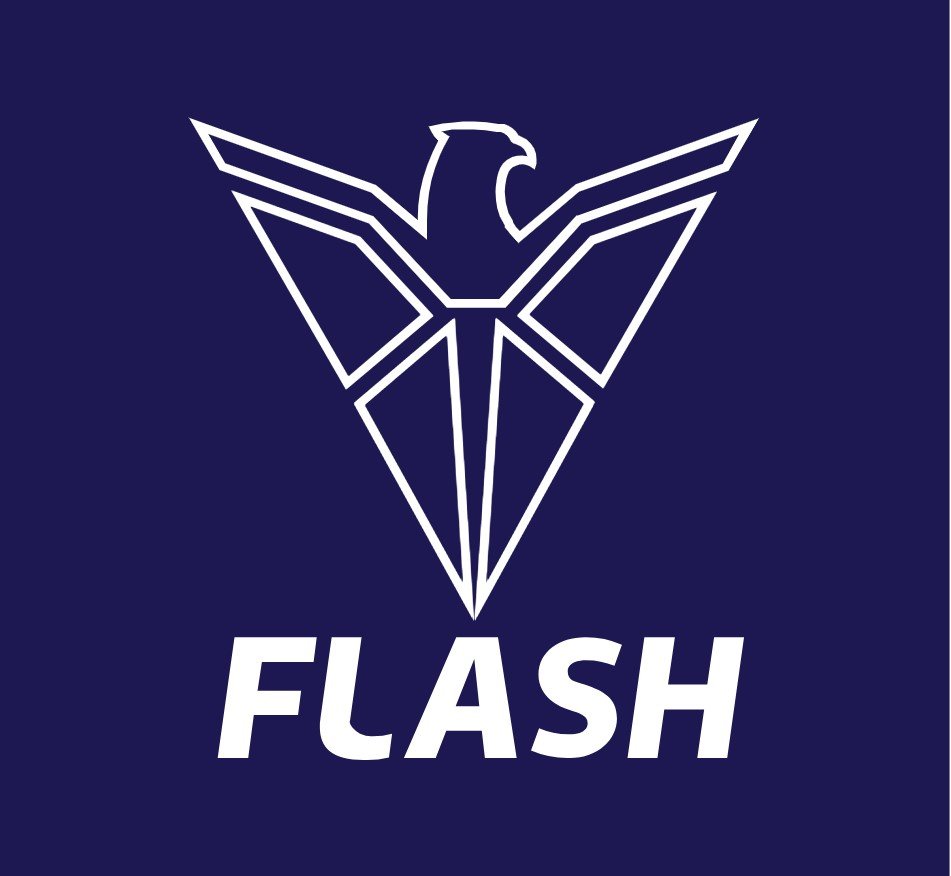 Flash Viven Logo